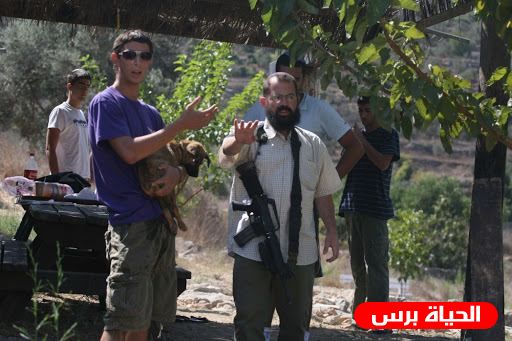 مستوطنون يعتدون على رعاة الماشية ويقطعون أشجار زيتون بمسافر يطا جنوب الخليل